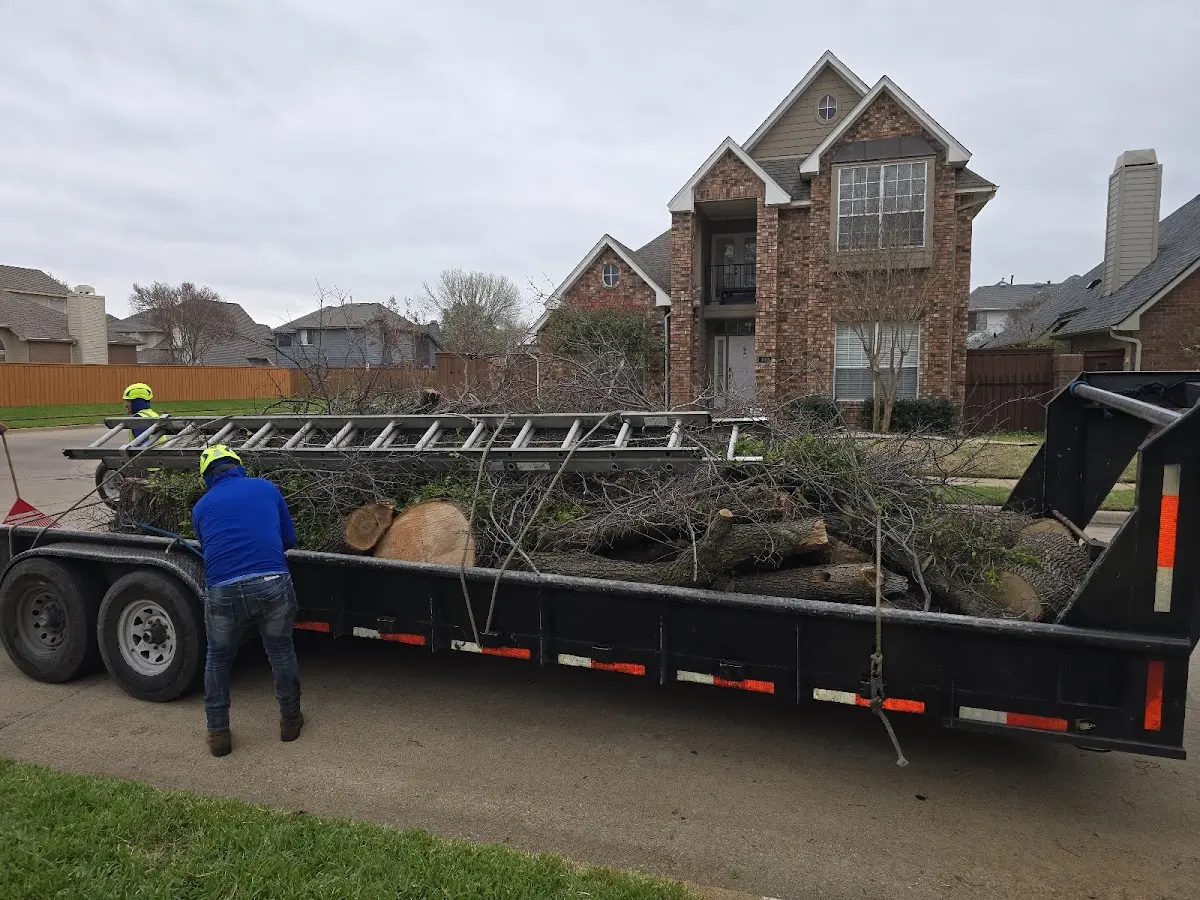 Expert Tree Removal with proper safety equipment in Rockaway Beach